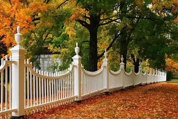 Professional Fence Contractor