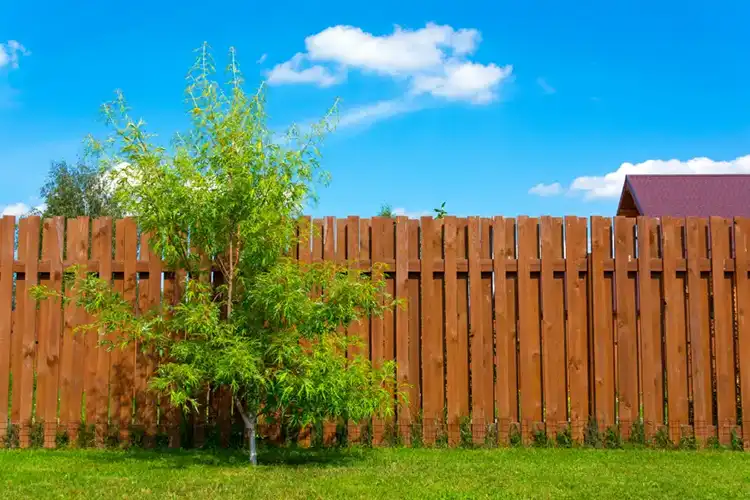Professional Fence Contractor