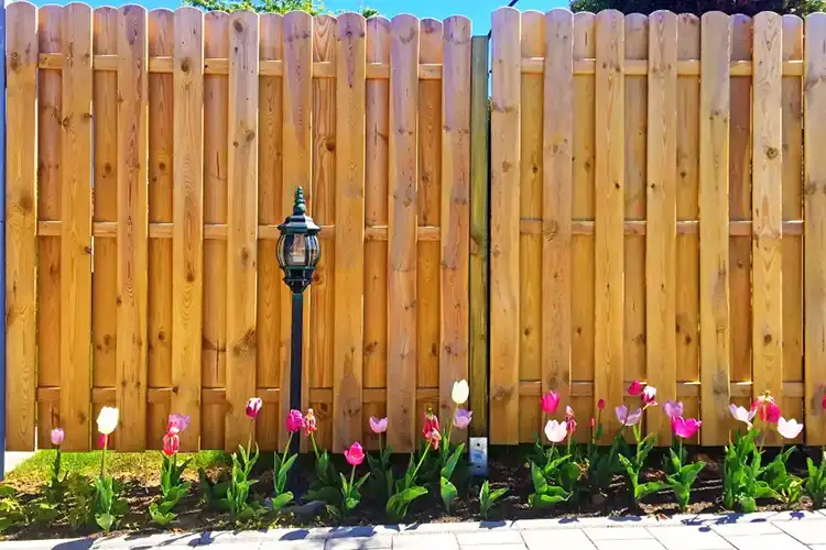 Professional Fence Contractor