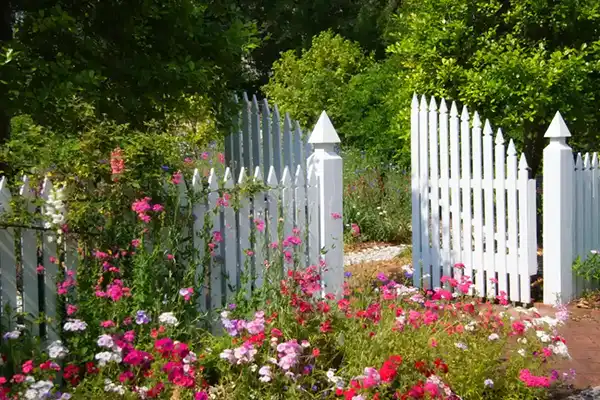 Professional Fence Contractor