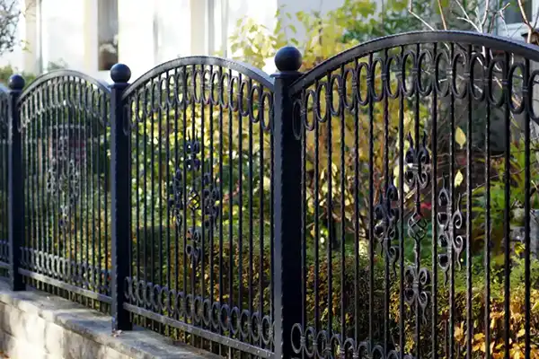Professional Fence Contractor